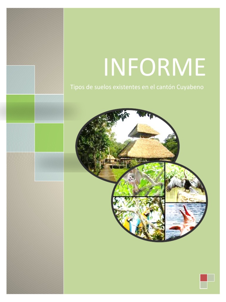 Informe De Suelos Pdf Barro Suelo