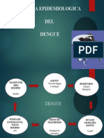 Cadena Epidemiologica Dengue