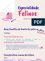 Especialidade Felinos