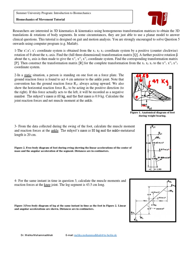Biomechanics Of Movement Download Free Pdf Cartesian Coordinate