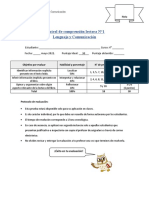 Pauta para Control de Comprensión Lectora N°1