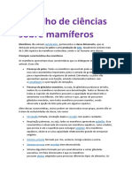 Trabalho de Ciências Sobre Mamíferos - Docx Mariaclara