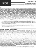 Process Maturity