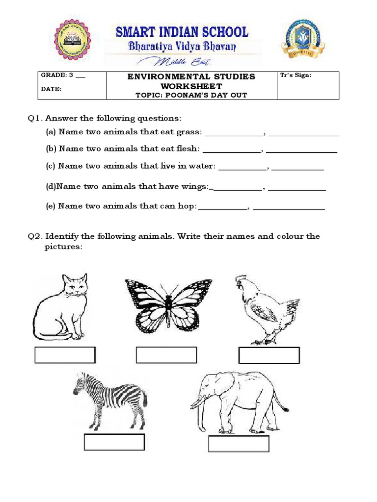 Poonams Day Out - Worksheet | PDF