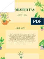 MONILOPHYTAS