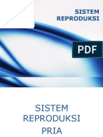 Sistem reproduksi pria dan alat kelaminnya