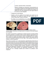 Fisiopatología Parte1