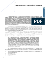 Los Sistemas Internacionales de Protección de Derechos Humanos. Curso DHI 2021