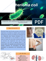 Escherichia Coli: Integrantes: Alex Riquelme, Ariel Riquelme, Camila Santibañez, Fernanda Diaz, Constanza Acuña