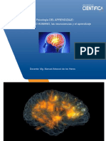 2022-2, Cpe, Las Neurociencias, El Aprendizaje y El Cerebro Humano