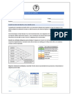 Taller Capacitación n6