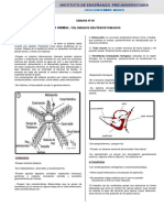 Teoria Semana #06