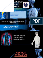 "Universidad Central Del Ecuador": Docente: Dr. Fernando Yeroví Guzman Cátedra: Anatomía Paralelo: IR-001 Primer Semestre