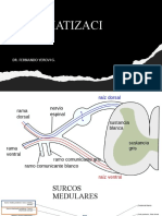 Sistematizaci ÓN: Dr. Fernando Yerovi G