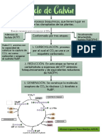 Diagrama Biología