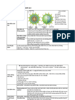 Rotavirus