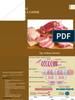 Caracterisitcas Generales de La Carne y Componentes Fundamentales