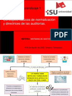 Conceptos Básicos de Normalización y Directrices de Las Auditorías.