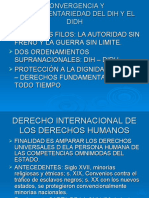 Derecho Internacional de Los Derechos Humanos y Dih