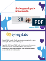 Synergy_Labs_0101_version_1_Intro
