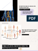 11 Sistem Organ Dalam Manusia Anatomi Fisiologi Kelompok 1