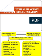 Community Health Action Project Implementation