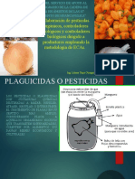 PPT-Talleres de Capacitación en Elaboración y Uso de Pesticida Orgánicos,