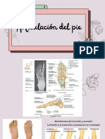 Articulación Del Pie