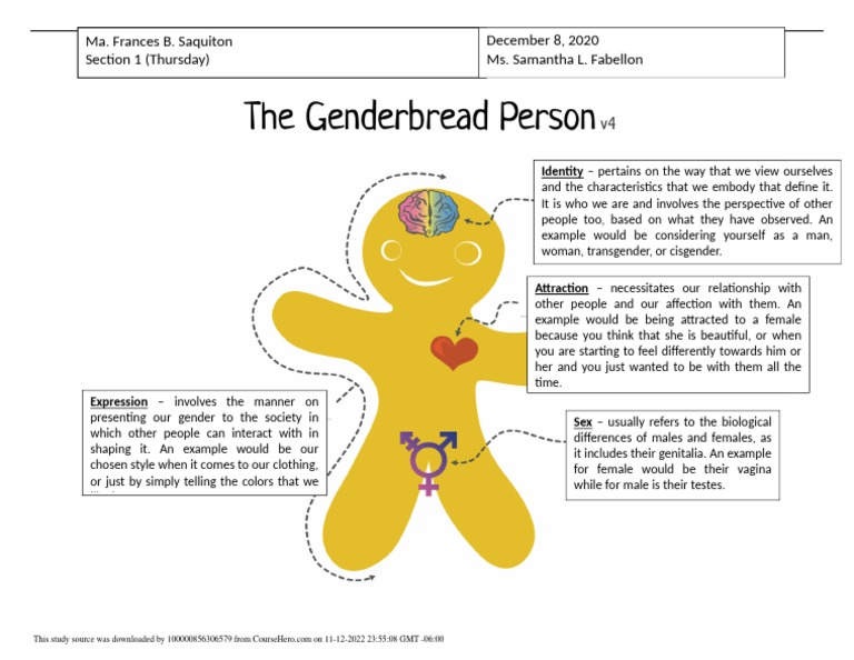 Genderbread Person PDF Identity Politics Gender Equality