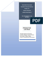 Ensayo de Productos Lácteos PDF
