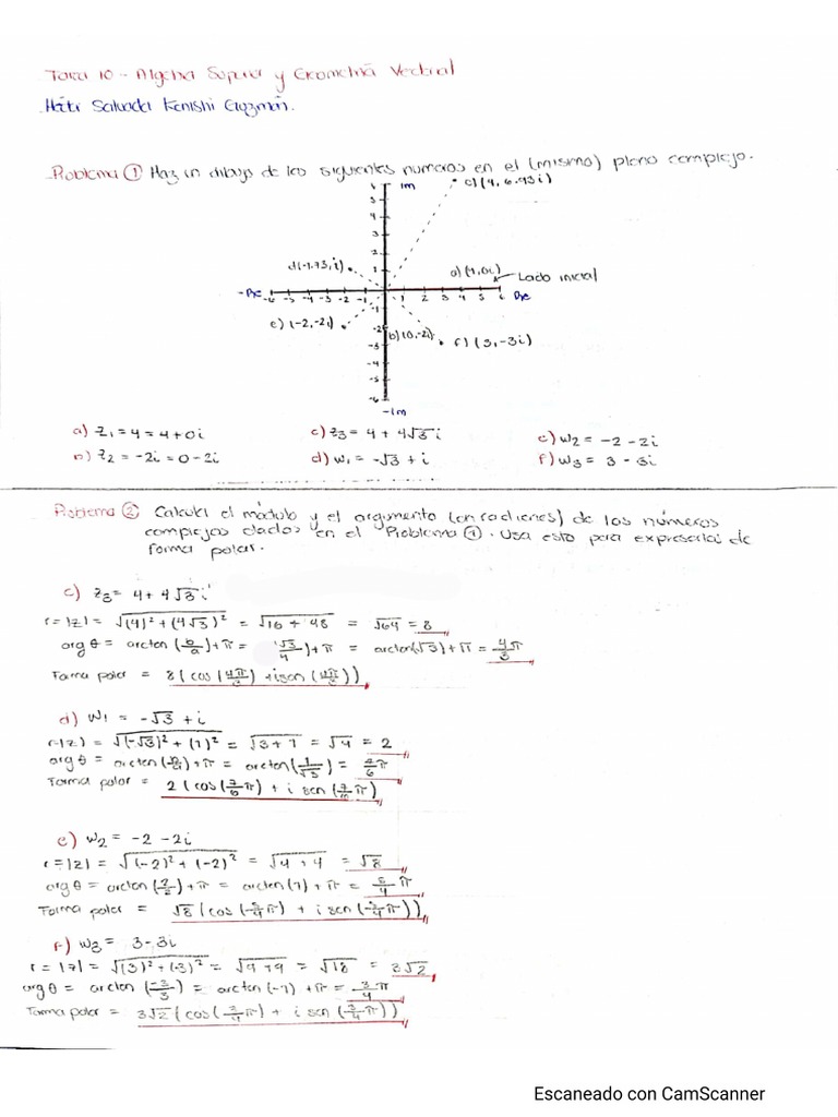 Tarea 10 - Álgebra Superior | PDF
