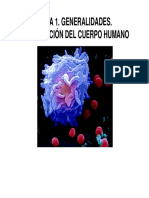 Tema 1 - Generalizaciones Del Cuerpo Humano