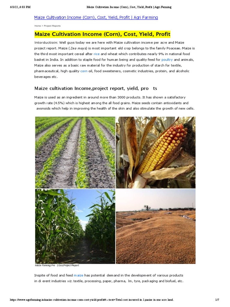 Maize Cultivation (Corn), Cost, Yield, Profit _ Agri Farming