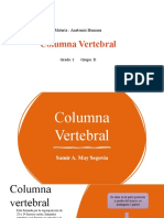 Columna Vertebral