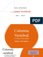 Columna Vertebral Anatomía