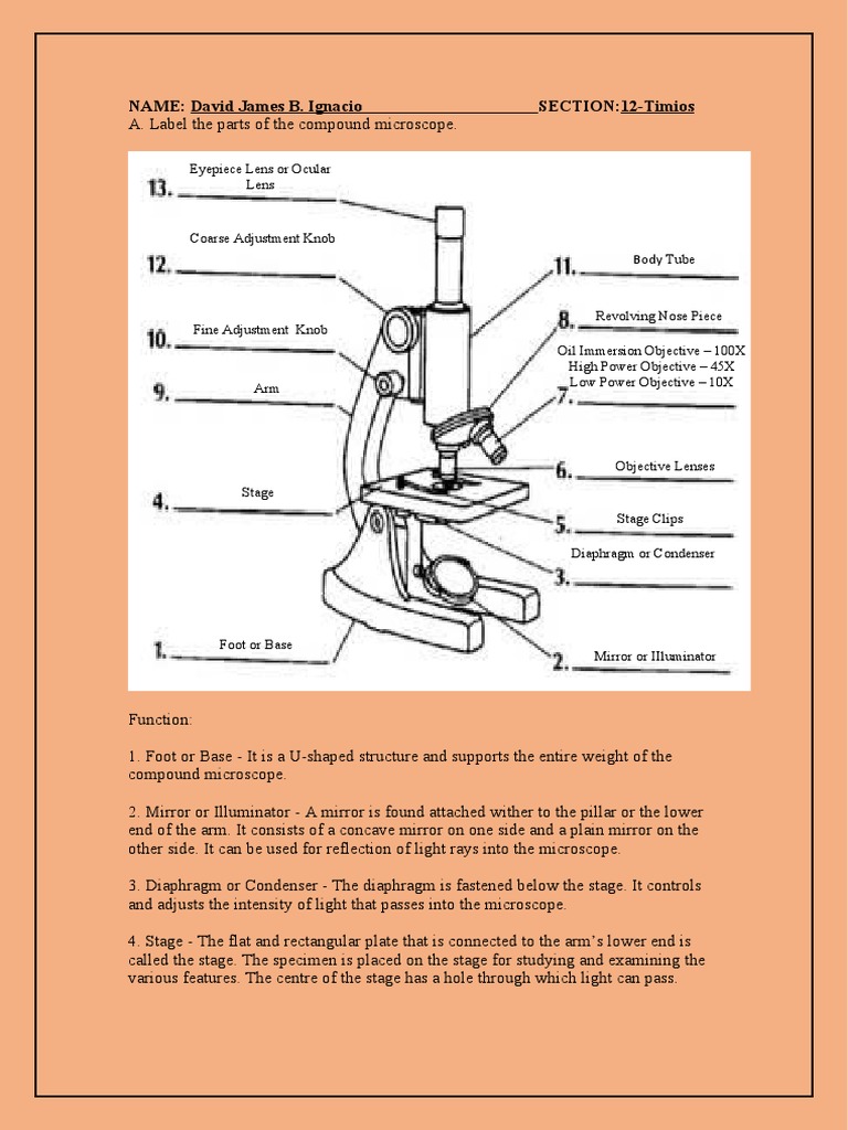 Parts and Importance of a Microscope | PDF | Laboratory Equipment ...