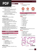 Red Cell Morphology