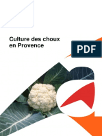 Fiche Culturale Choux