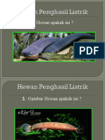 Jawaban Hewan Penghasil Listrik