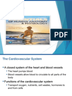 CH - 10 - THE CARDIOVASCULAR SYSTEM