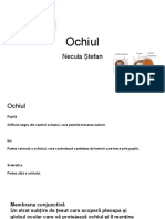 Ochiul