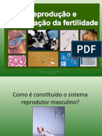 Aula2 Bio12 Ano1112ppt