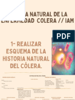 Historia Natural Dela Enfermedad
