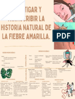 Investigar la historia natural de la fiebre amarilla