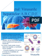 Virusurile Hepatice
