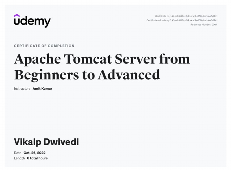 Apache tomcat10 pdf