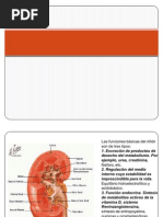 Download Asa de Henle by Blanco Kenya SN60722505 doc pdf