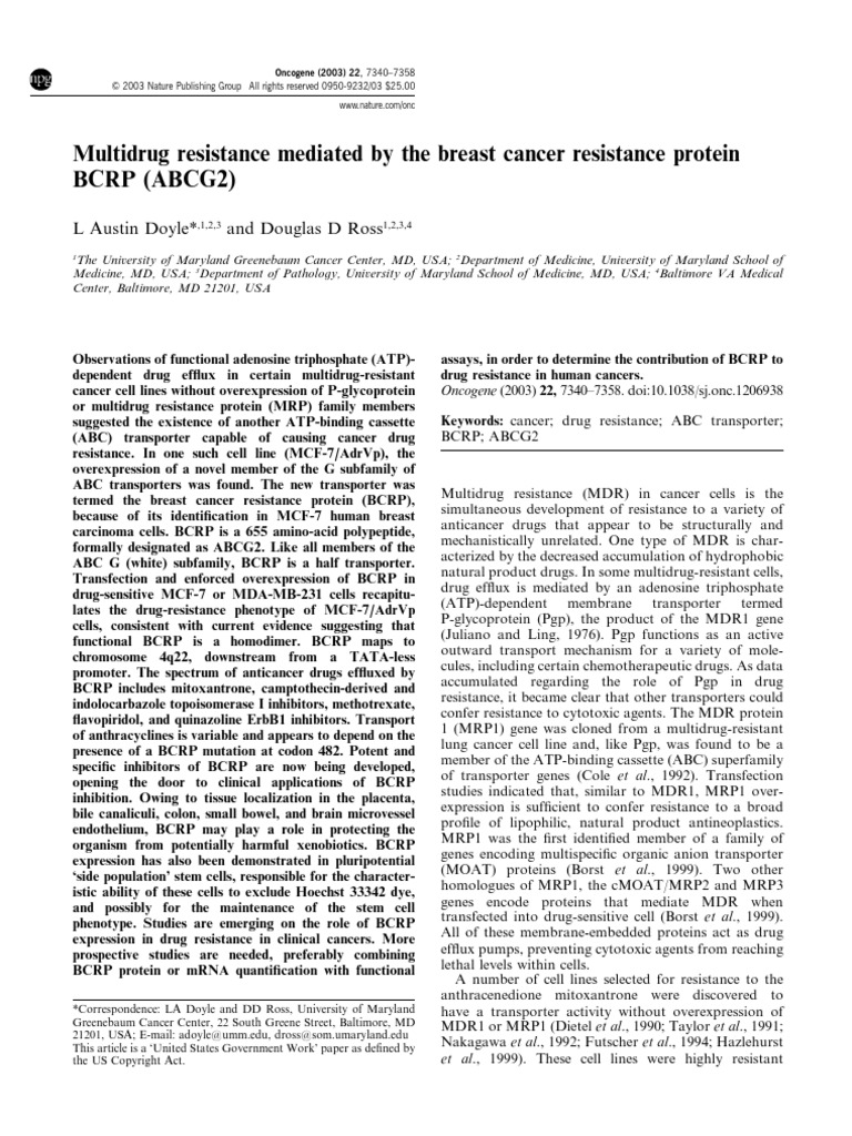 Multidrug Resistance Mediated by The Breast Cancer Resistance Protein
