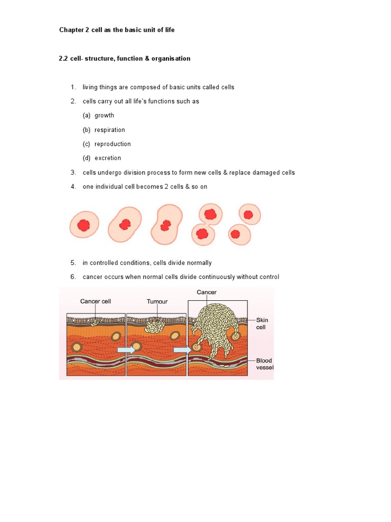 Cell Structure and Functions Overview | PDF | Cell (Biology) | Life
