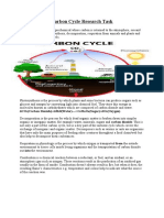 Carbon Cycle